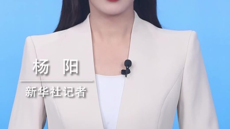 深圳市网络科技有限公司